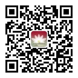山城老刁民微信公众号