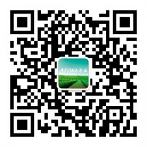 PLxiyuanchaye微信公众号