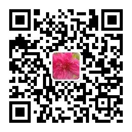 微商奋斗部落微信公众号