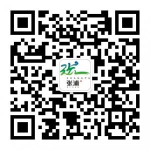 张浦生活网微信公众号