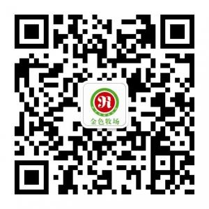 乳子牛食品微信公众号