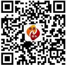 朵灵团队网商俱乐部微信公众号