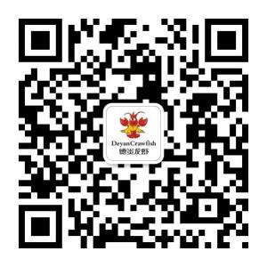 生态洪湖德炎龙虾微信公众号