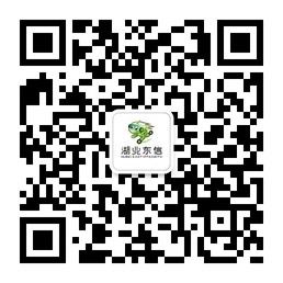 东信汽车文化微信公众号