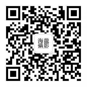 大连海龙摄摄影微信公众号