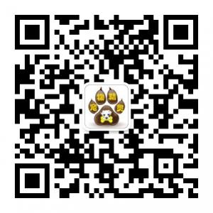 宠物精灵站微信公众号