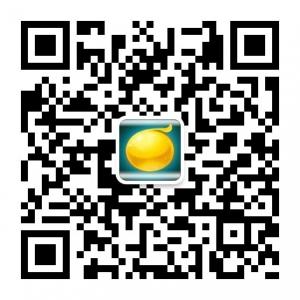 我的工资条微信公众号