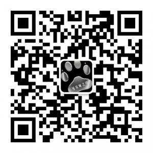 汕头河东狮二手车微信公众号