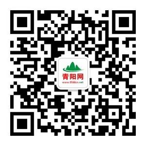 青网文化传媒微信公众号