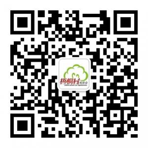 梧桐树相亲会微信公众号