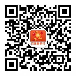 安逸攀枝花微信公众号