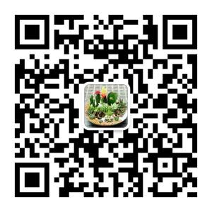 一叶知春盆栽艺术微信公众号