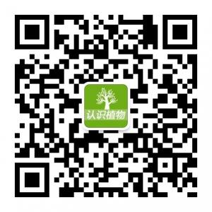 认识植物吧微信公众号