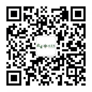 原古硅藻泥.原古硅藻纯微信公众号