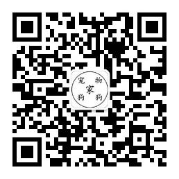 宠物狗狗家微信公众号