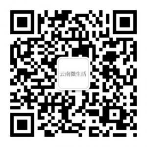 云南微生活微信公众号