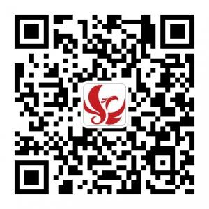 时尚生活定制——鲲鹏定制微信公众号