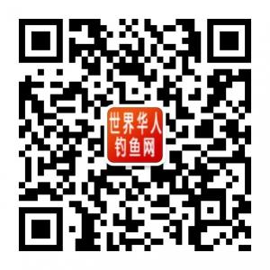 世界华人钓鱼网微信公众号