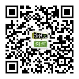 浏河新鲜事微信公众号