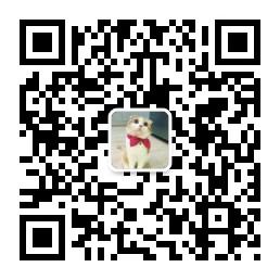 猫头资讯社微信公众号