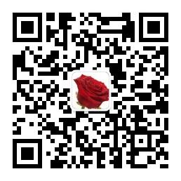 水中之湖001微信公众号