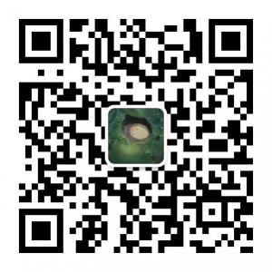 安静的树洞微信公众号