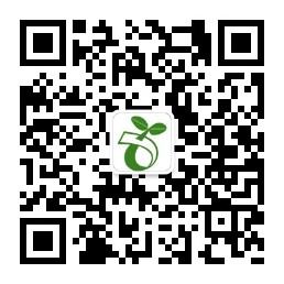 绿创设计小站微信公众号