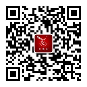 天姿幻欧洲站高端微信公众号