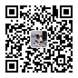 赛车手图文观天下微信公众号