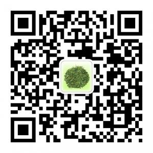 汉中印象网络部微信公众号