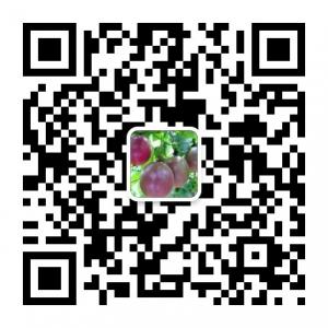 百香果宇豪泉果业微信公众号