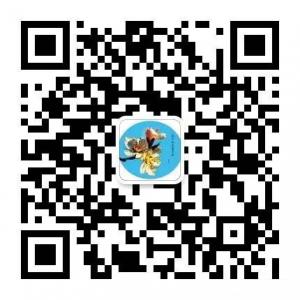 52旅游摄影微信公众号