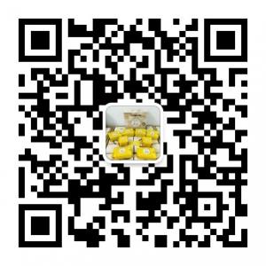 女王负离子卫生巾微信公众号