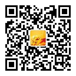 今日看牛股微信公众号