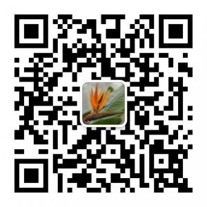 剑桥鹤望兰微信公众号